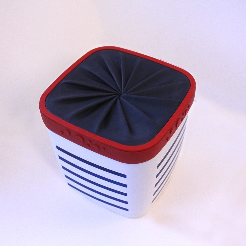 Two-Layer Ice Lid Bento Box - IPPINKA