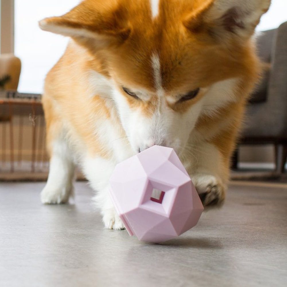 Smart Dog Toy
